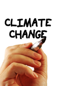 Directors' Duties and Climate Change: Sustainable Practices